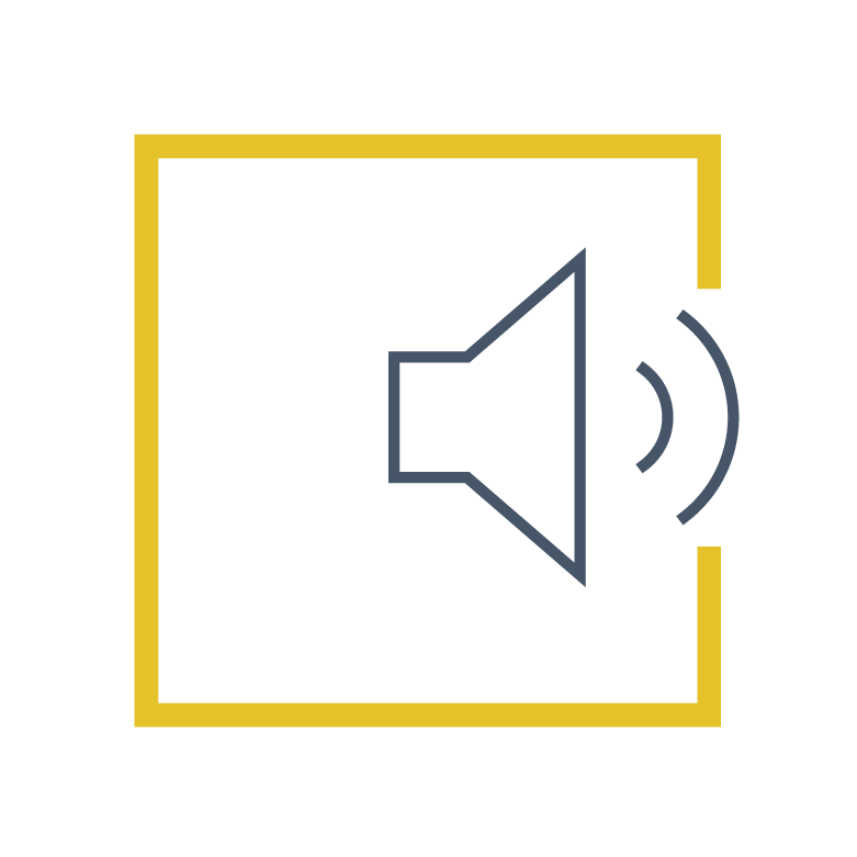 volume icon