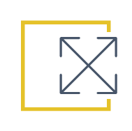dual icon
